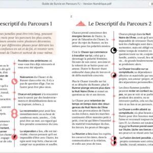 E-book Guide de Survie en Parcours Flammes Jumelles – Image 3