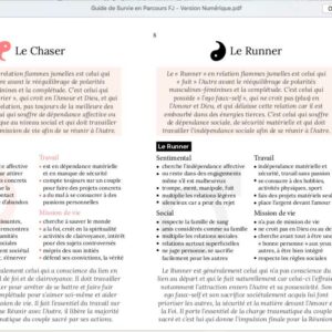 E-book Guide de Survie en Parcours Flammes Jumelles – Image 6